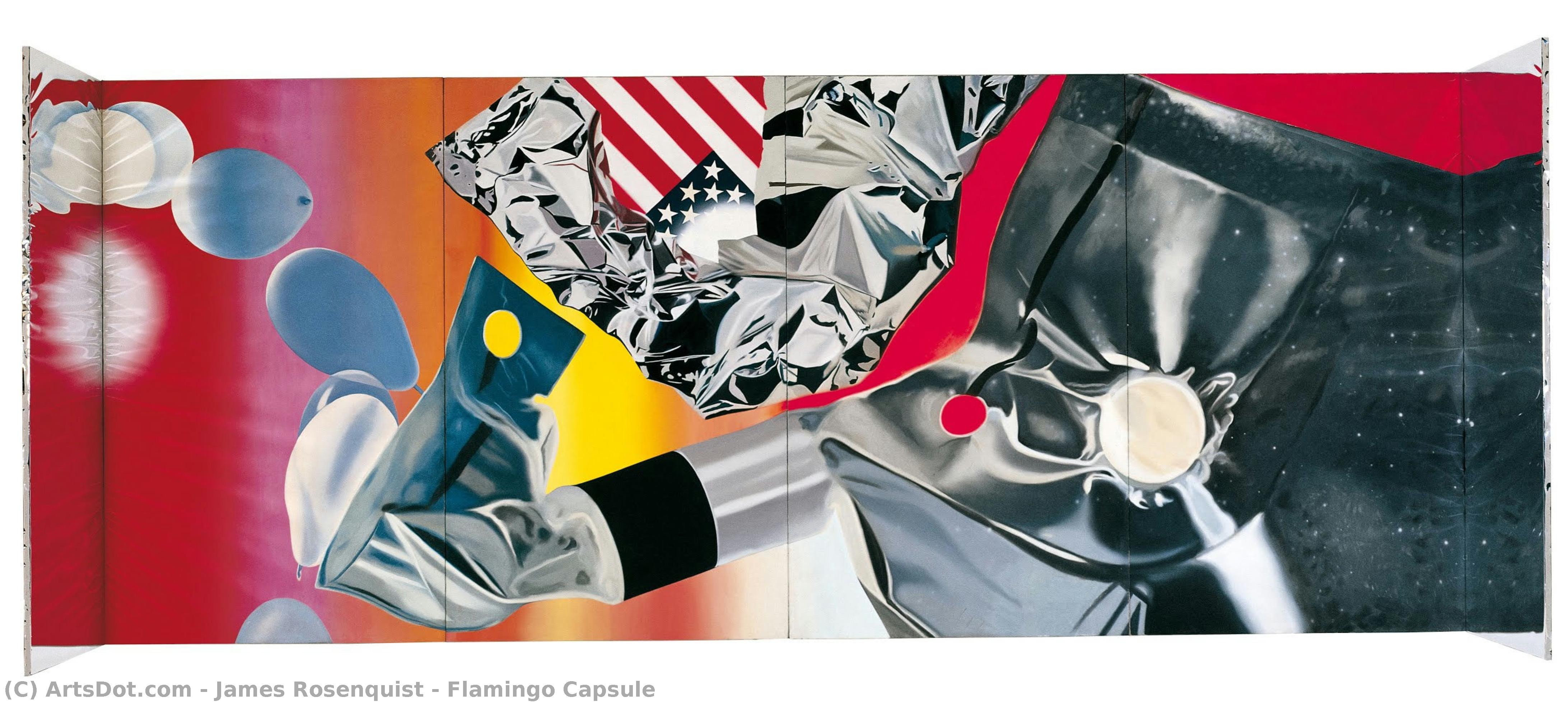 Flamingo Capsule — James Rosenquist