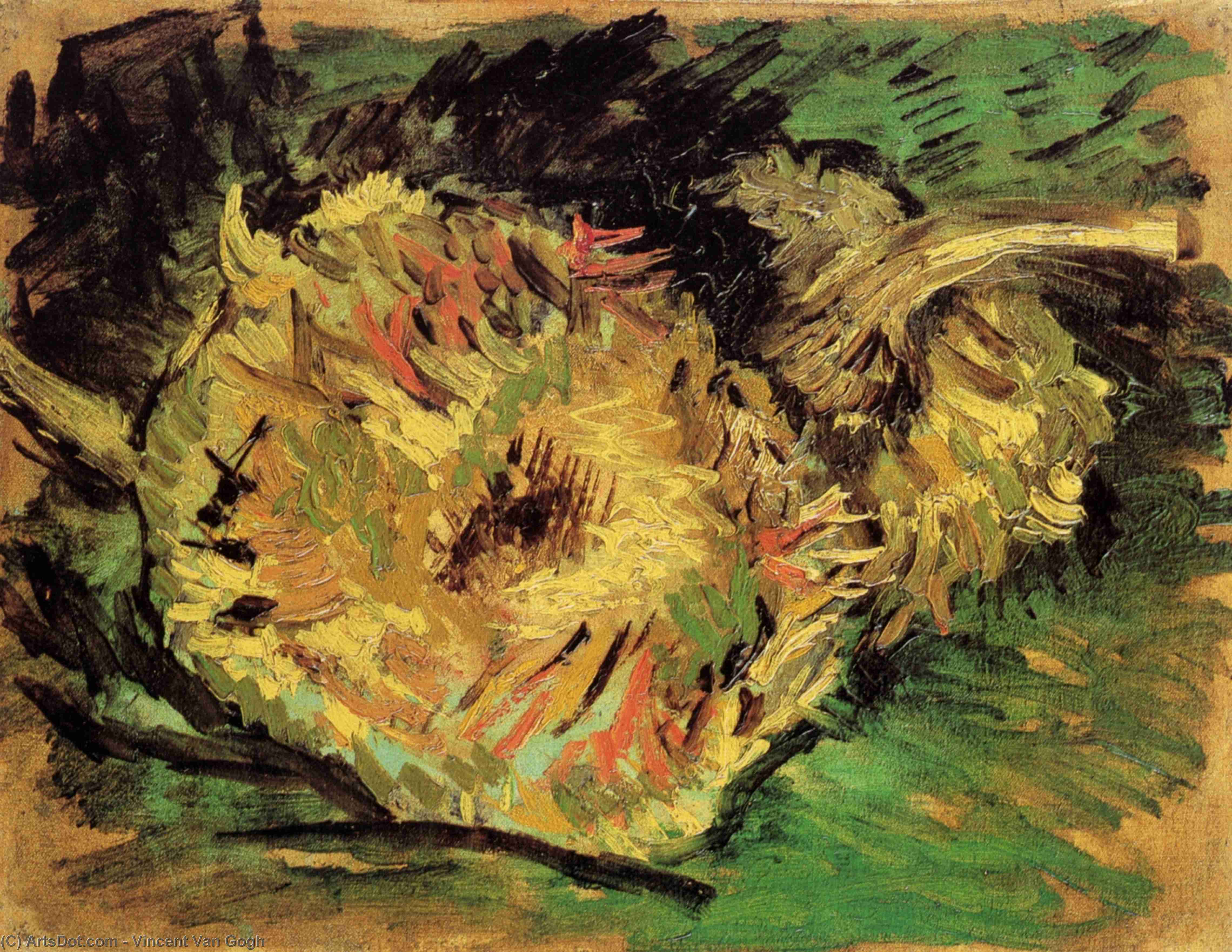 Två Skurna Solrosor Vincent Van Goghs Fängslande Mål Från 1887, En Skattkista Av Känslor Och Färger Som Fångar Solrosornas Livscykel – Deras Blomning Och Slutliga Förfall. Målningen Är Ett Exempel På Van Goghs Postimpressionistiska Stil, Med Kraftfulla Pe — Vincent Willem Van Gogh
