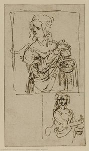 Studies For Saint Mary Magdalene — Leonardo Da Vinci