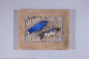 Red Con Peces #5 — Francisco Toledo