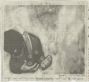 Senate Majority — Christian Holstad
