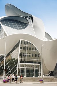 Alberta Foundation For The Arts